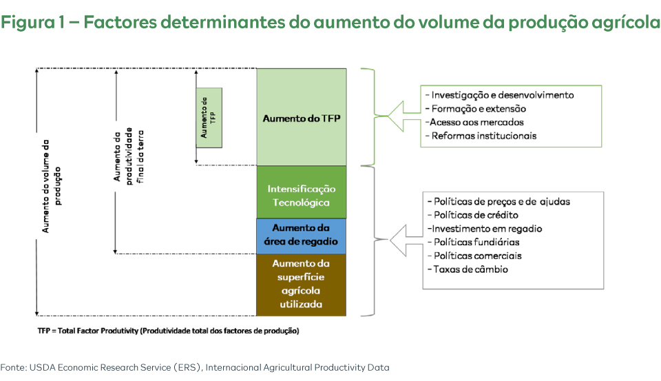 Factores determinantes do aumento do volume da produção agrícola